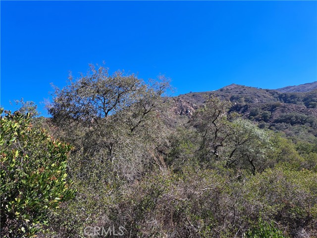 0 Magee, Valley Center, CA, 92082 0 Magee, Valley Center, CA, 92082