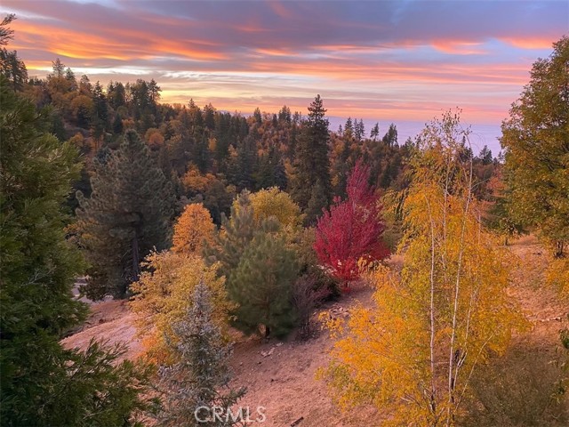 Detail Gallery Image 32 of 38 For 30910 Old City Creek Dr, Running Springs,  CA 92382 - 3 Beds | 2/1 Baths