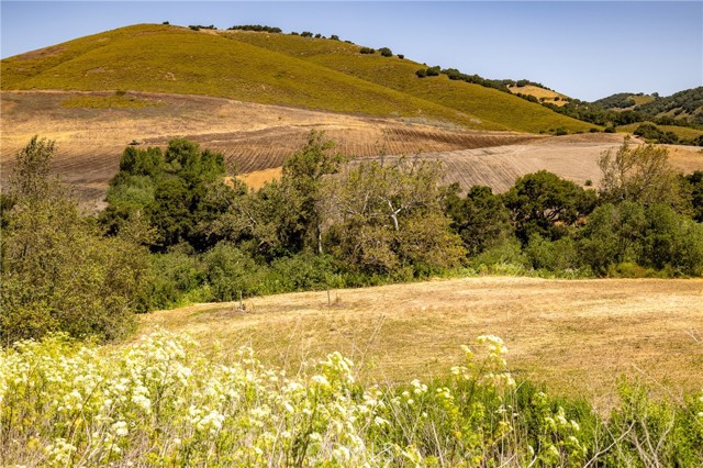 680 Spring Canyon Lane, Nipomo CA: https://media.crmls.org/medias/b609dfc0-1f9a-498c-9297-d9ab8a71906d.jpg