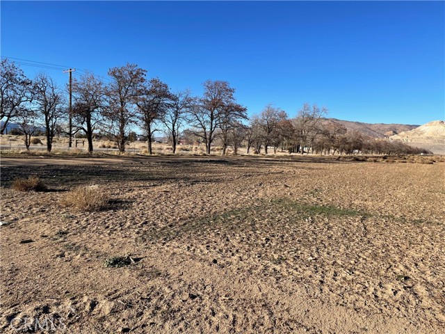 20028 Tehachapi Willow Springs Rd, Tehachapi CA: https://media.crmls.org/medias/b60cd5b1-2e6e-4187-a69b-4bd2948a38e7.jpg