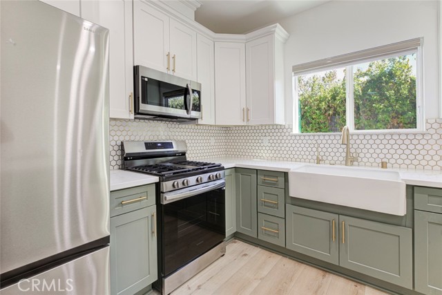 6206 Camellia photo 73