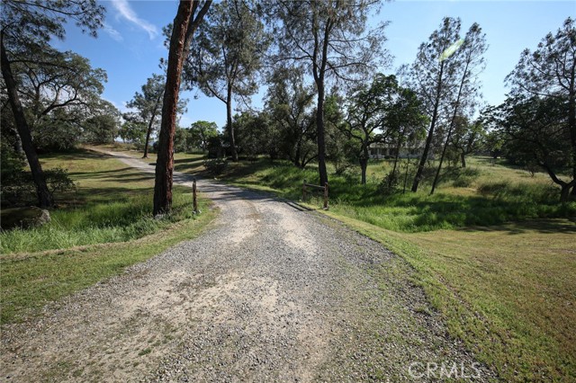 Detail Gallery Image 9 of 67 For 41121 Long Hollow, Coarsegold,  CA 93614 - 4 Beds | 2 Baths