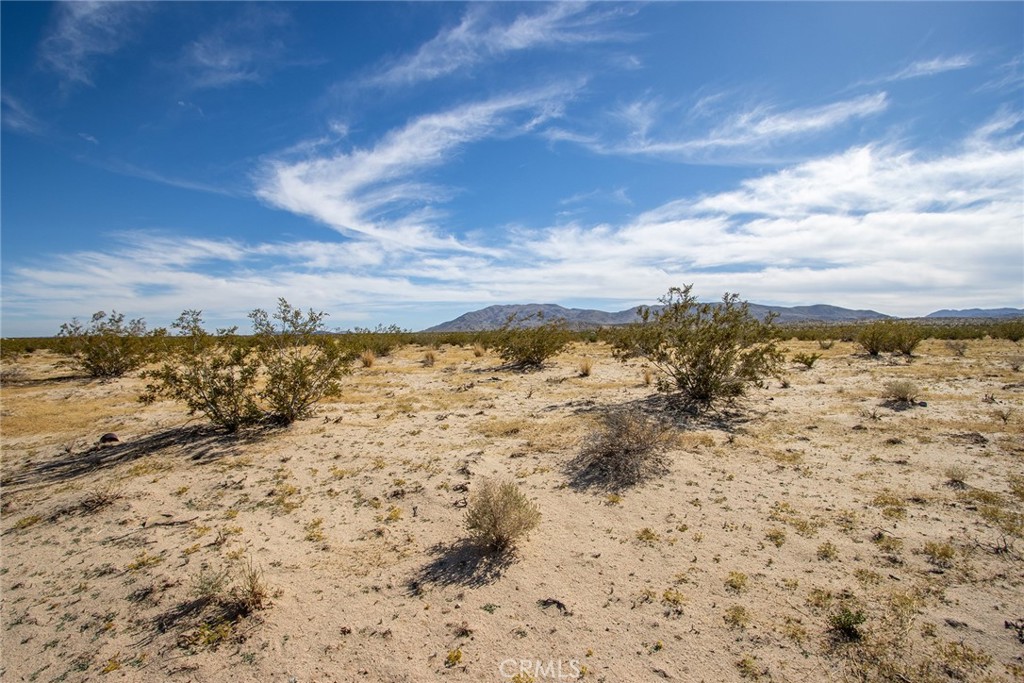 MLS #JT25255739 image #6