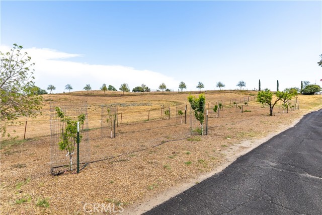 3150 Bluegrass Place, Creston CA: https://media.crmls.org/medias/b61f1102-40a6-40cb-b3e8-c9161e0ce109.jpg