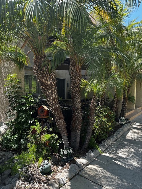 7800 Via Genova, Burbank CA: https://media.crmls.org/medias/b61fb7ae-a111-45e2-a1a4-e47c88b600cb.jpg