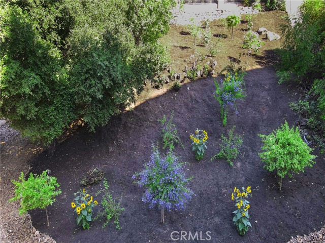 1124 Kathleen Drive, Newbury Park CA: https://media.crmls.org/medias/b620a86e-fdea-4c13-88b2-d1df78ca5fc3.jpg