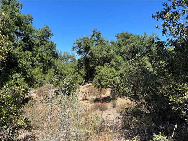 Detail Gallery Image 18 of 26 For 35010 Willow Creek Rd., Hemet,  CA 92544 - – Beds | – Baths