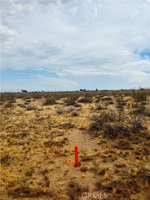 Detail Gallery Image 8 of 14 For 0 Reche Rd, Landers,  CA 92285 - – Beds | – Baths