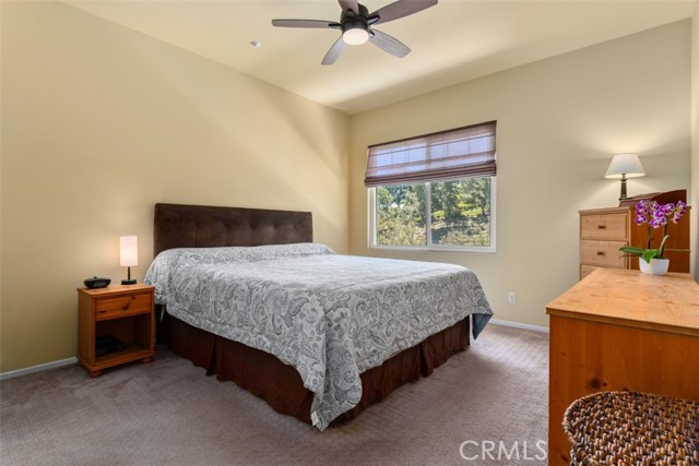 Large Master Bedroom With Greenbelt Views
