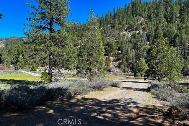 Detail Gallery Image 6 of 35 For 79402 State Highway 3, Trinity Center,  CA 96091 - – Beds | – Baths