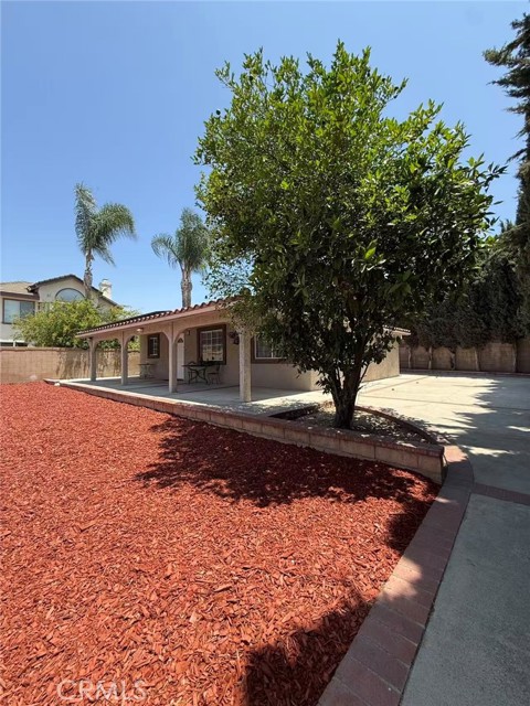 12411 Norton Avenue, Chino CA: https://media.crmls.org/medias/b62e390b-3564-4945-9cfc-db9f9dbd58dd.jpg