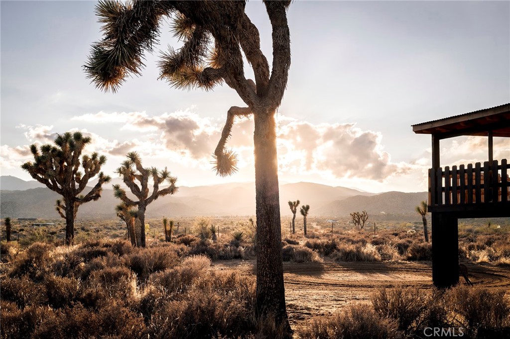 MLS #JT25252986 image #53