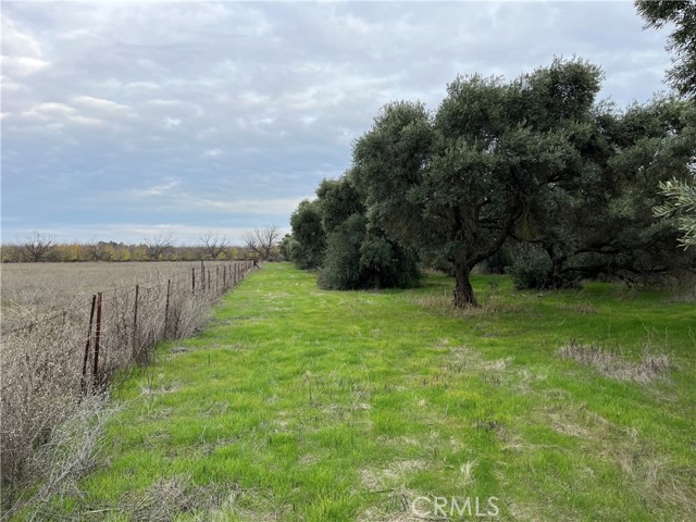 Detail Gallery Image 33 of 33 For 22161 Chittenden Rd, Corning,  CA 96021 - 3 Beds | 2 Baths