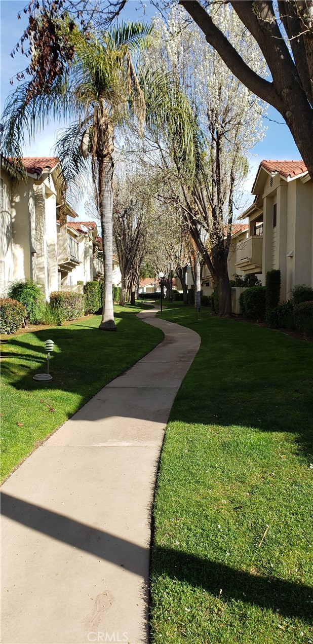 Image 7 of 12 For 1542 Alluvial Avenue 258