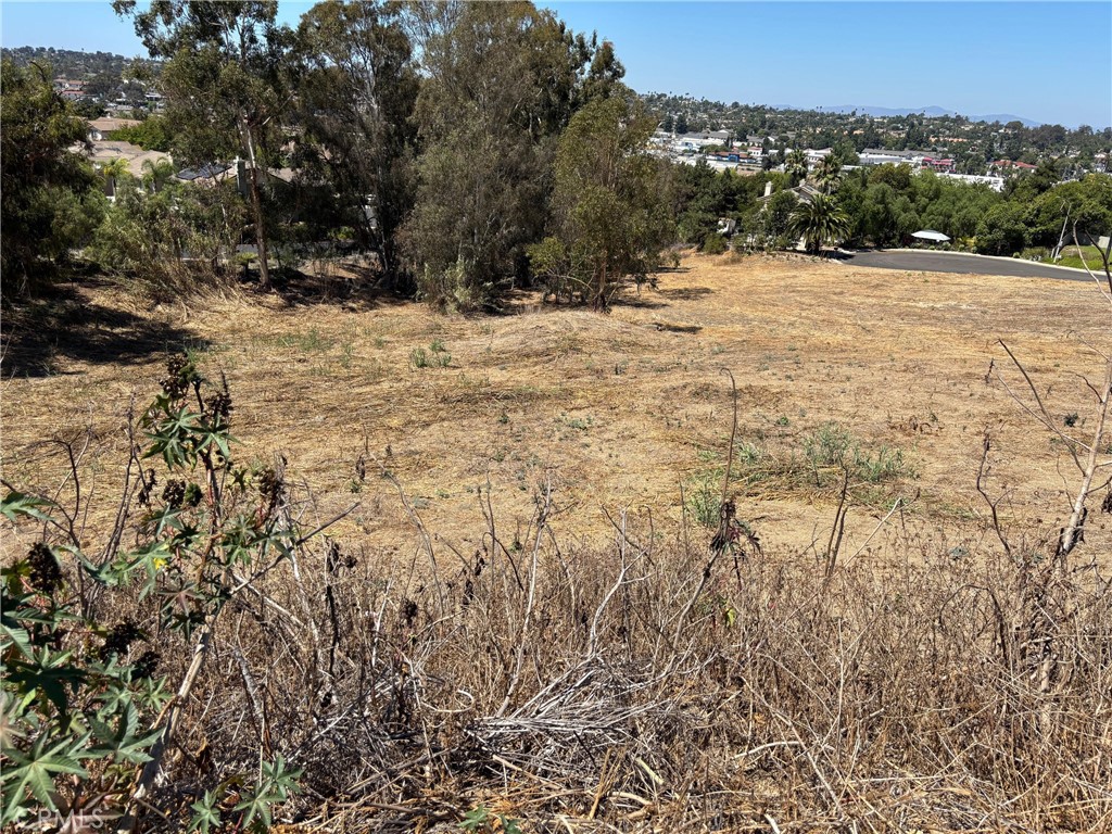 1937 Sunset Drive - photo 6