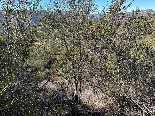 Detail Gallery Image 23 of 24 For 25858 Mulholland, Calabasas,  CA 91302 - – Beds | – Baths