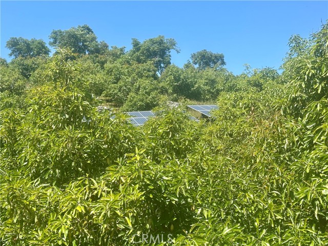 39725 Jones Road, Fallbrook CA: https://media.crmls.org/medias/b6470266-8dda-48c9-900a-6c730eb99d52.jpg
