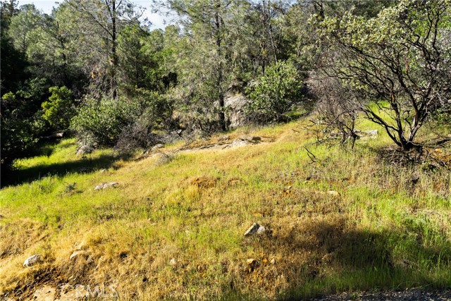 Detail Gallery Image 7 of 31 For 0 Iron Mine Rd, Auburn,  CA 95602 - – Beds | – Baths