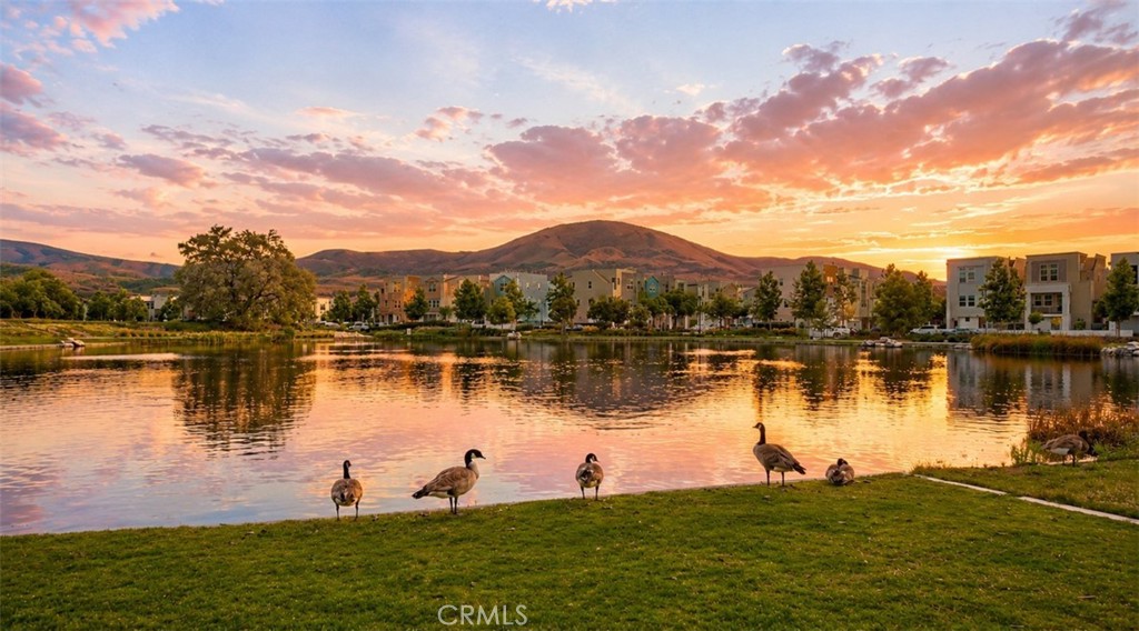 https://media.crmls.org/medias/b6535e06-83a9-4d11-ba64-82c81e448209.jpg?preset=X-Large