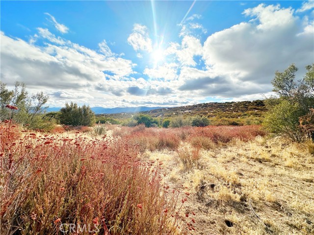 Detail Gallery Image 35 of 46 For 40 Acres via Oak Grove Ln, Ranchita,  CA 92066 - – Beds | – Baths