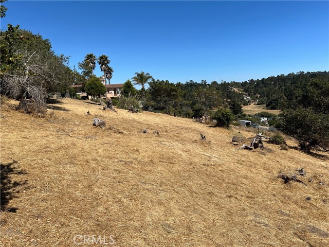 4925 Grove Street, Cambria, California 93428, ,Land,For Sale,4925 Grove Street,CRSC23001880