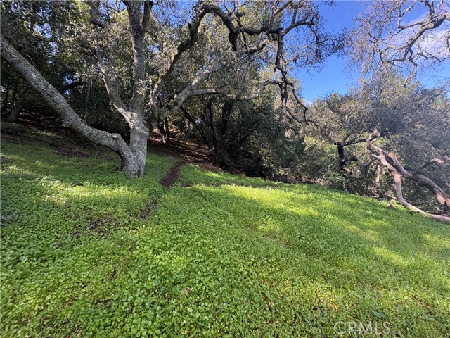 Detail Gallery Image 6 of 20 For 12000 San Marcos, Atascadero,  CA 93422 - – Beds | – Baths