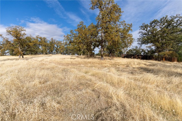 Detail Gallery Image 11 of 29 For 17333 Wagon Wheel Road, Corning,  CA 96021 - – Beds | – Baths