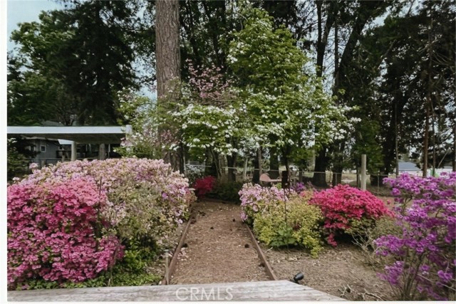 Detail Gallery Image 74 of 75 For 6090 Rossi Way, Paradise,  CA 95969 - 4 Beds | 3 Baths