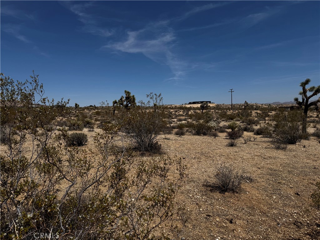 MLS #JT25134804 image #4