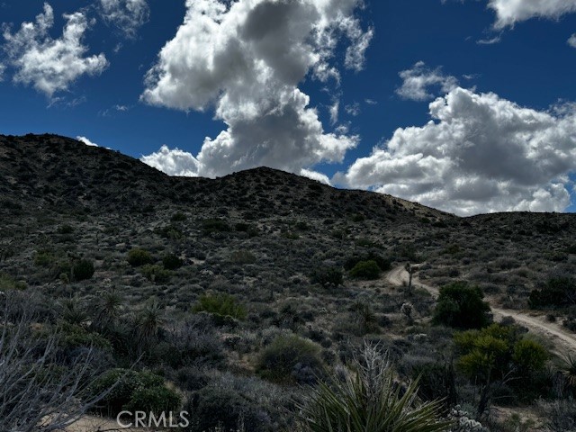 MLS #JT25188299 image #2