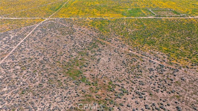 Detail Gallery Image 12 of 12 For 0 Avenue C-8, Antelope Acres,  CA 93536 - – Beds | – Baths