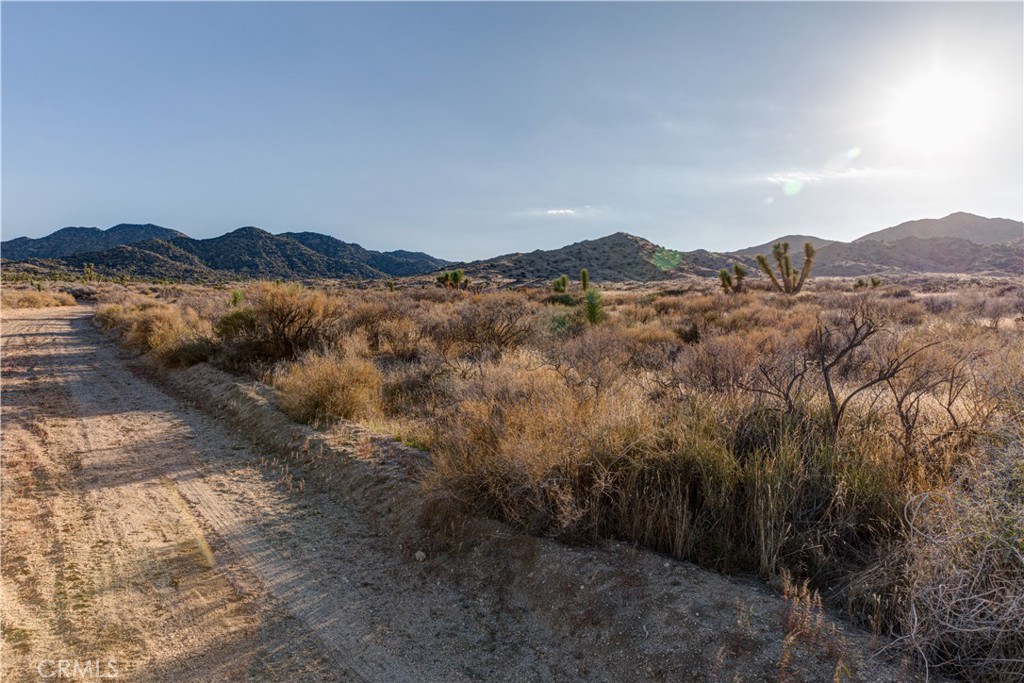 MLS #JT25229239 image #27