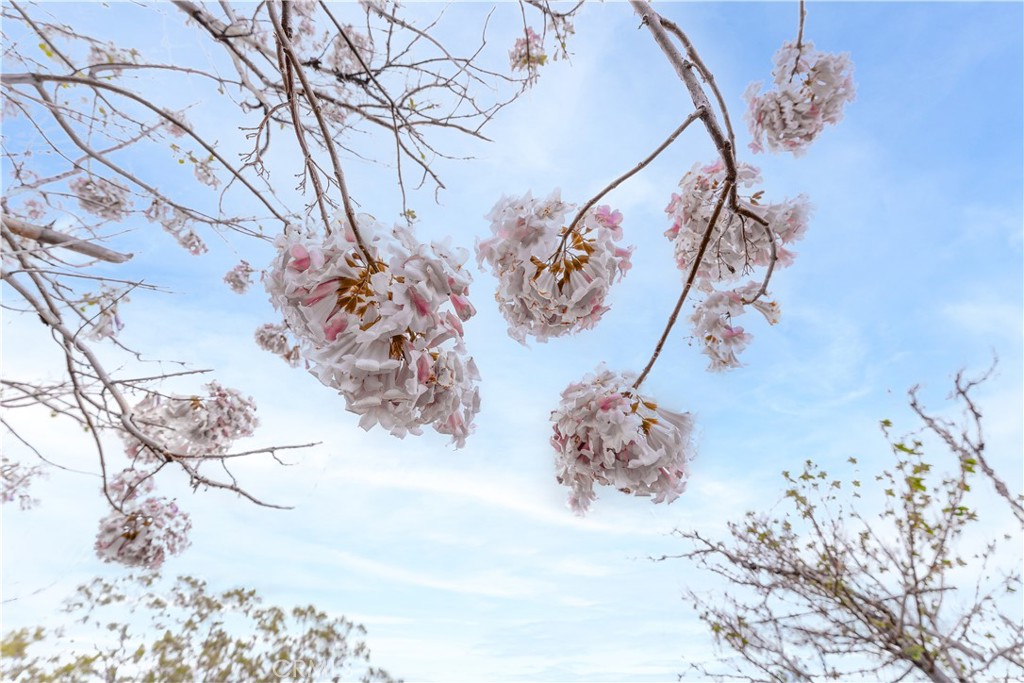 https://media.crmls.org/medias/b670dd24-b04b-4900-abfe-7cc07f524ab6.jpg?preset=X-Large