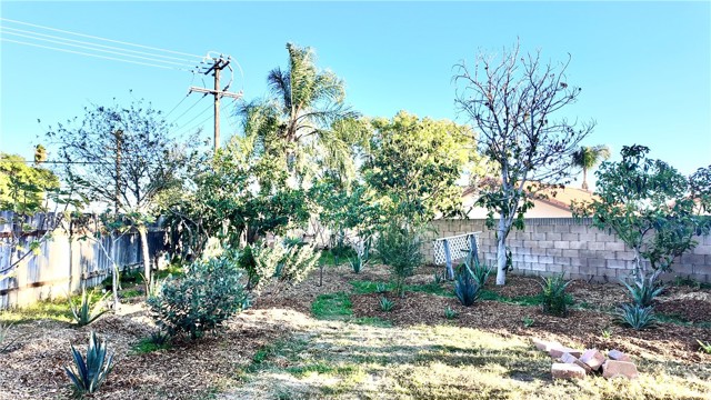 Detail Gallery Image 30 of 31 For 883 E Jackson St, Rialto,  CA 92376 - 3 Beds | 2/1 Baths