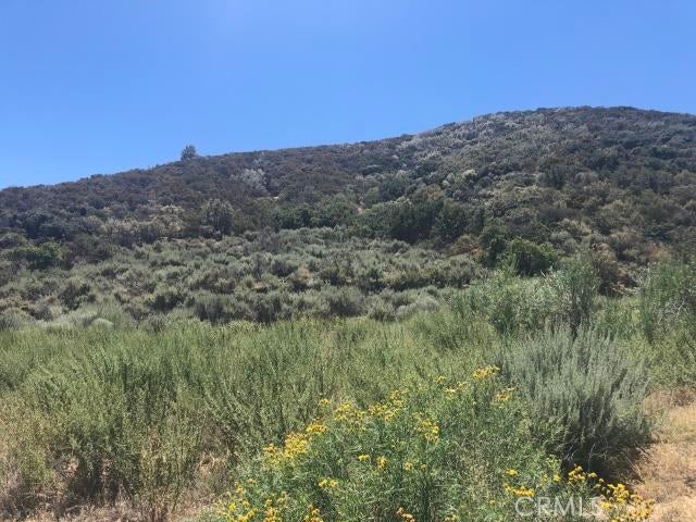 Detail Gallery Image 4 of 11 For 40120 107th, Leona Valley,  CA 93551 - – Beds | – Baths