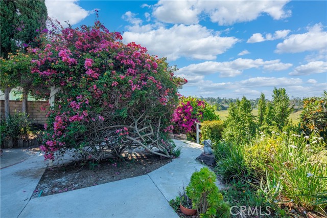 1305 Fairlance Drive, Walnut CA: https://media.crmls.org/medias/b67996b6-f197-42fe-8a21-902bd27814f7.jpg