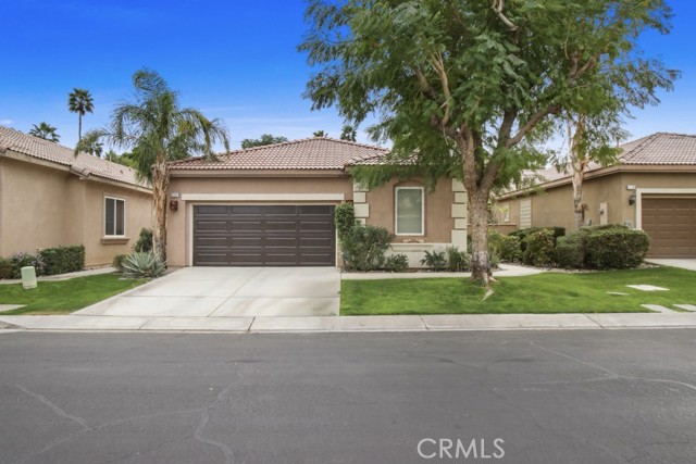 Front Image Thumbnail for CRSB26023847