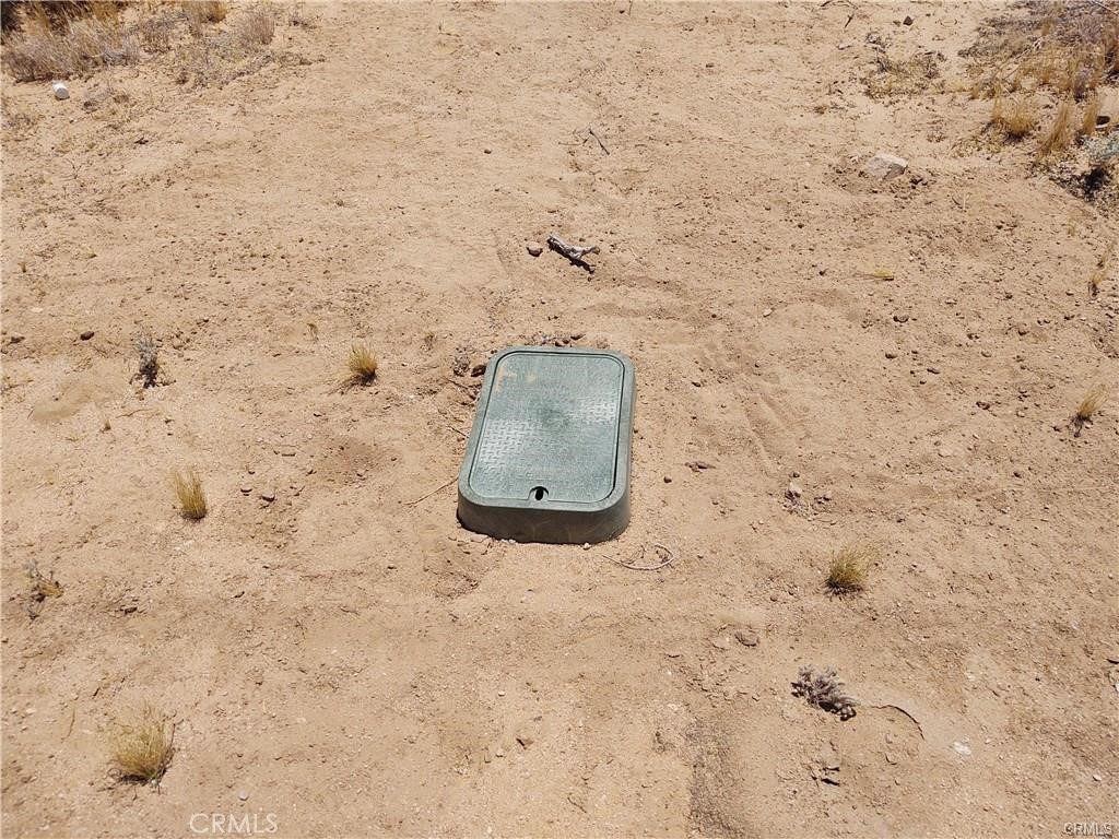 MLS #JT24014516 image #2