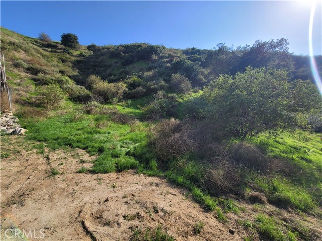 0 North Trail, Sylmar (los Angeles), California 91342, ,Land,For Sale,0 North Trail,CRSR23176546