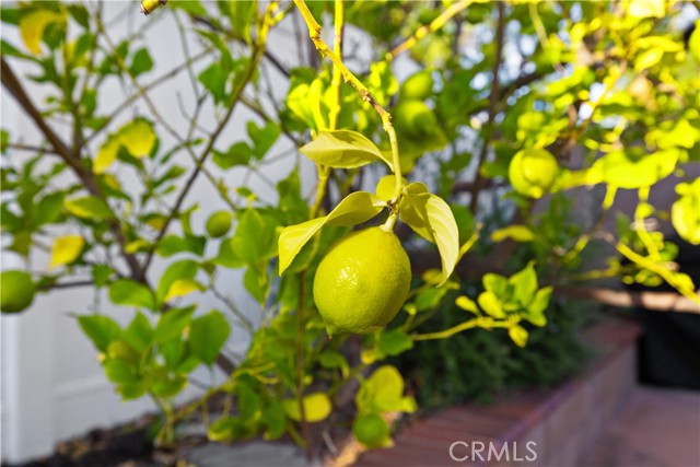 Detail Gallery Image 38 of 55 For 43856 Carentan, Temecula,  CA 92592 - 4 Beds | 2/1 Baths