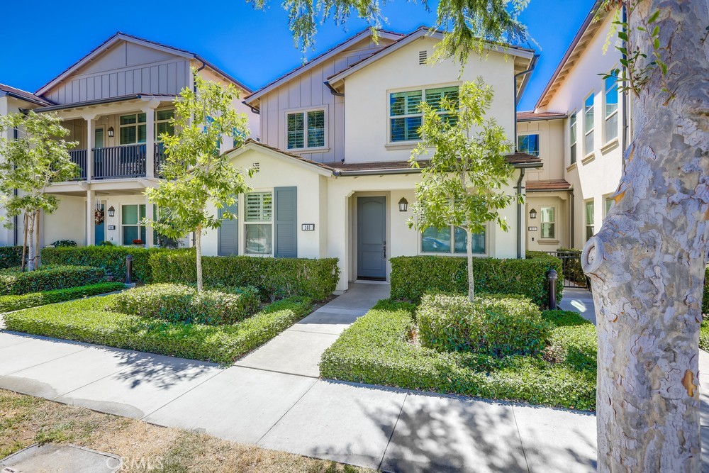 140 Rose Arch