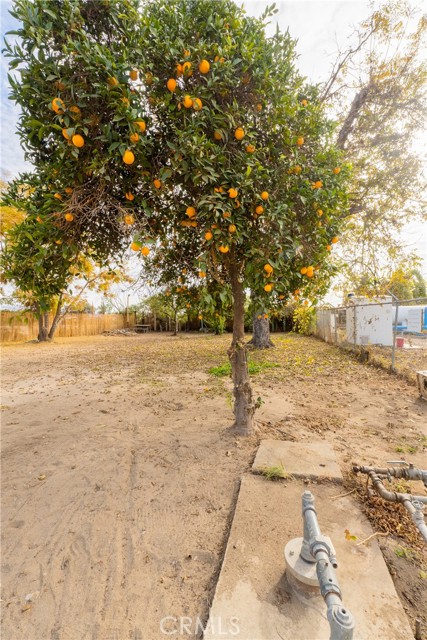 Detail Gallery Image 13 of 63 For 858 S Valencia Bld, Woodlake,  CA 93286 - – Beds | – Baths