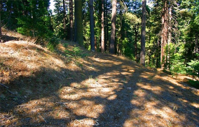 Detail Gallery Image 12 of 17 For 525 Ca-173, Lake Arrowhead,  CA 92352 - – Beds | – Baths