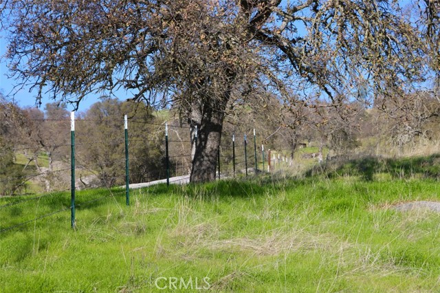 Detail Gallery Image 39 of 47 For 40461 Long Hollow Dr, Coarsegold,  CA 93614 - 3 Beds | 2 Baths