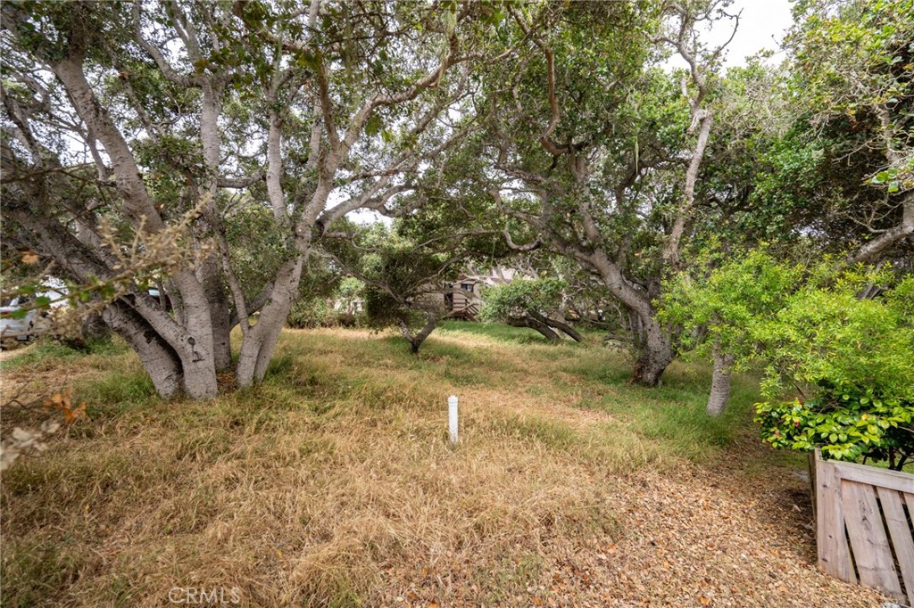 MLS #SC25145989 image #6