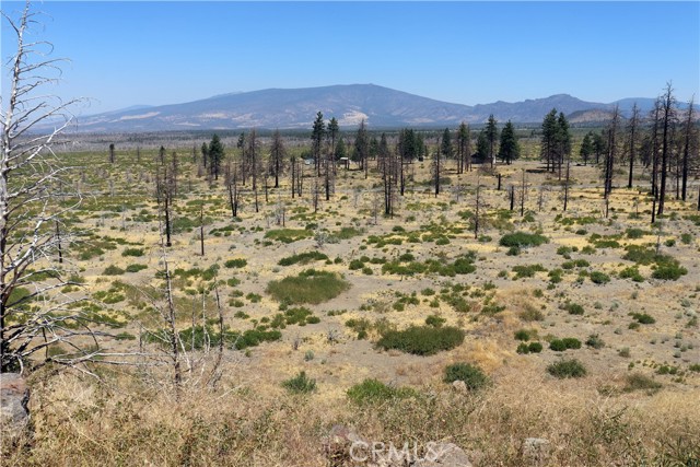 Detail Gallery Image 13 of 15 For 0 Juniper Valley Dr, Weed,  CA 96094 - – Beds | – Baths