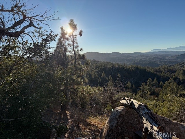 Detail Gallery Image 4 of 6 For 0 Bobcat Dr, Green Valley Lake,  CA 92341 - – Beds | – Baths