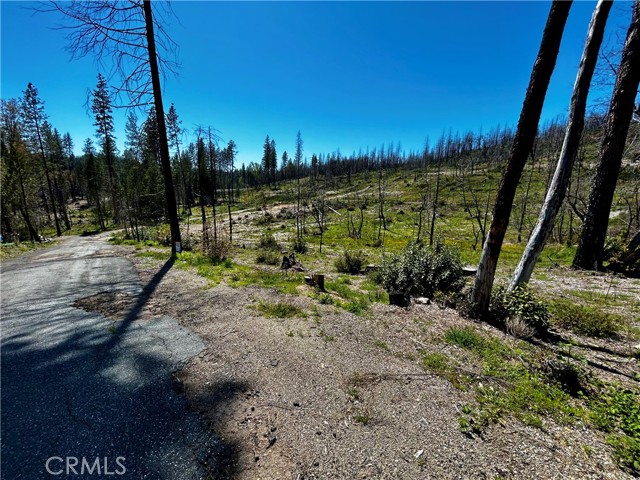 12 Azalea Lane, Berry Creek, California 95916, ,Land,For Sale,12 Azalea Lane,CRSN23072179