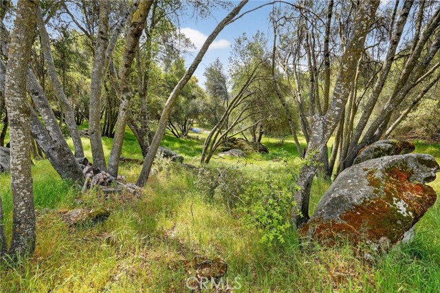 Detail Gallery Image 32 of 34 For 40790 Highway 49, Oakhurst,  CA 93644 - 3 Beds | 2 Baths