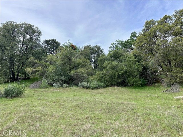 3038 Country Court, Mariposa CA: https://media.crmls.org/medias/b6b033f8-897d-487b-8e0c-f1965472a30f.jpg